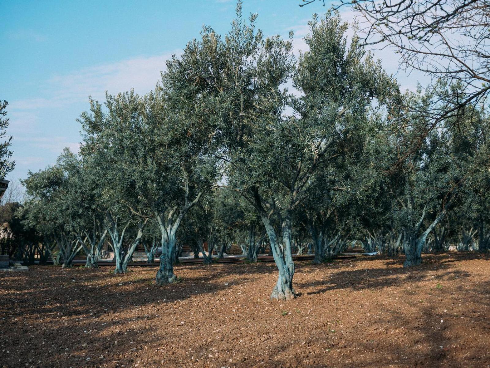 Od Urla Misafirhane Exterior foto