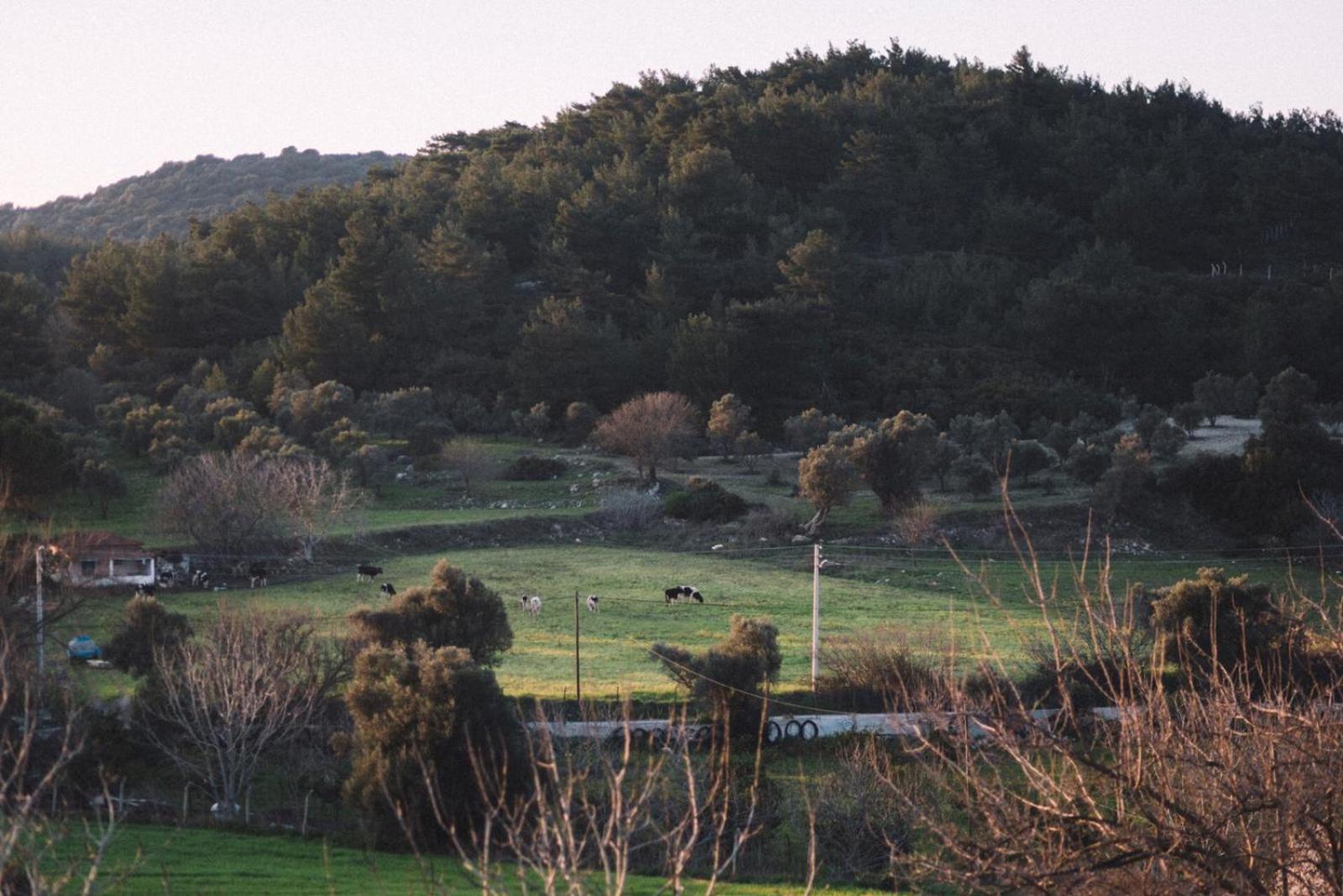 Od Urla Misafirhane Exterior foto